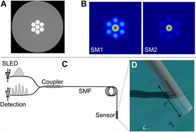 Dual-Parameter Sensing With a Single Supermode Interferometer